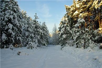 《七大罪：起源》公布全新预告 发售日期待定